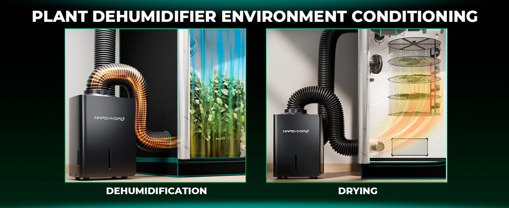 Mars Hydro Luftentfeuchter 12L/Tag als Trockner oder Entfeuchter