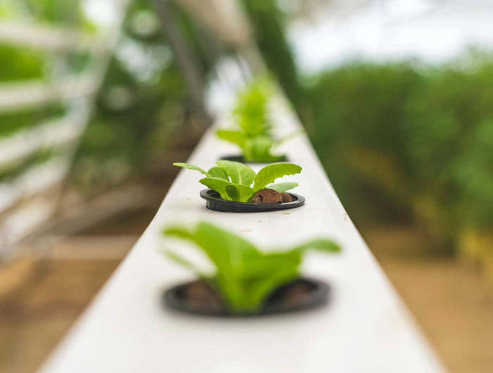 <h2>Wie kann ich Dir helfen??<br/><span style="text-decoration:underline">Wir stehen bei Fragen und Anregungen gern zur Verfügung!</span></h2>