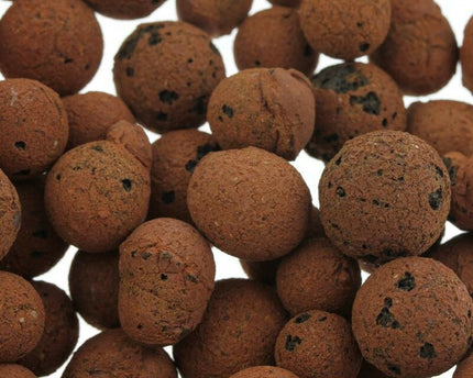 Plagron Euro Pebbles 10L Plagron