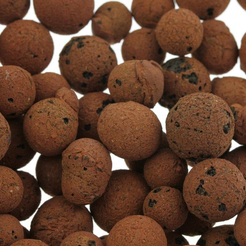Plagron Euro Pebbles 10L Plagron