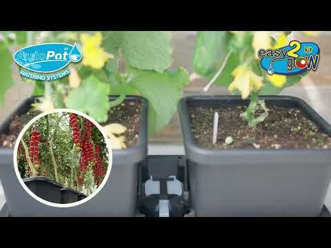 Autopot 4Pot System AQUAvalve5