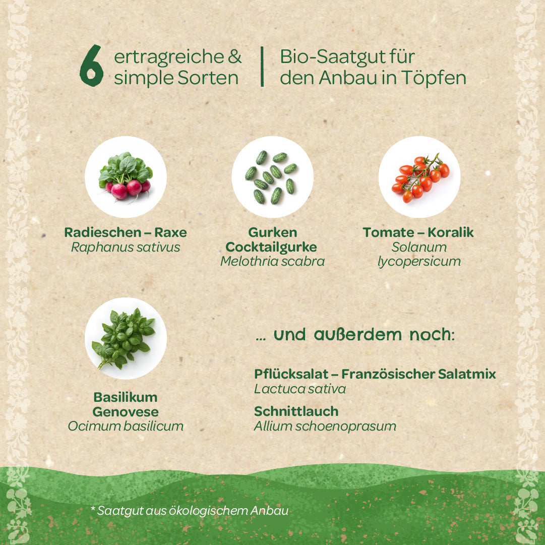 BIO-Saatgut-Set "Balkongemüse" Inhalt