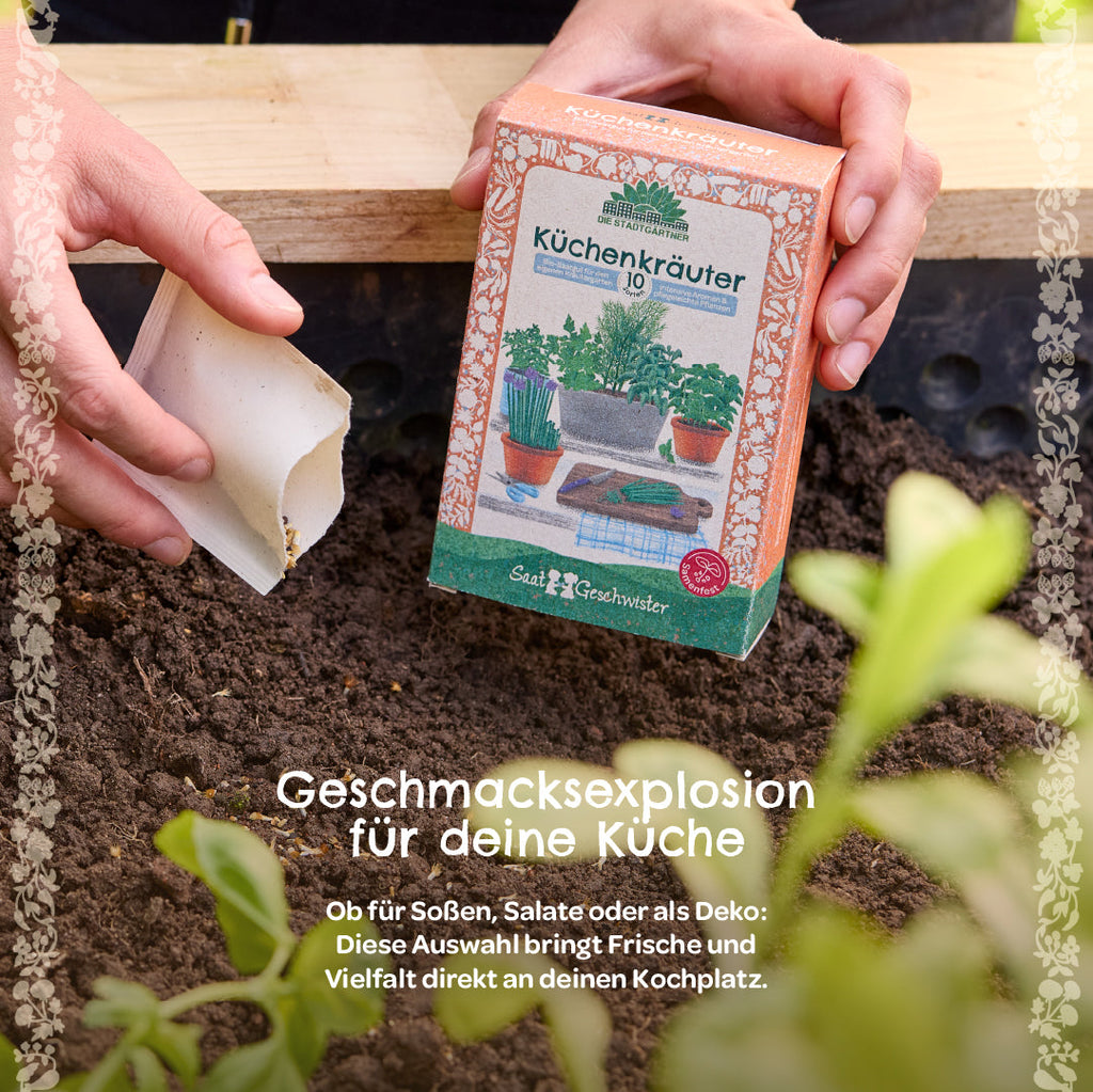 BIO-Saatgut-Set Küchenkräuter | 10 Sorten EU-zertifiziert