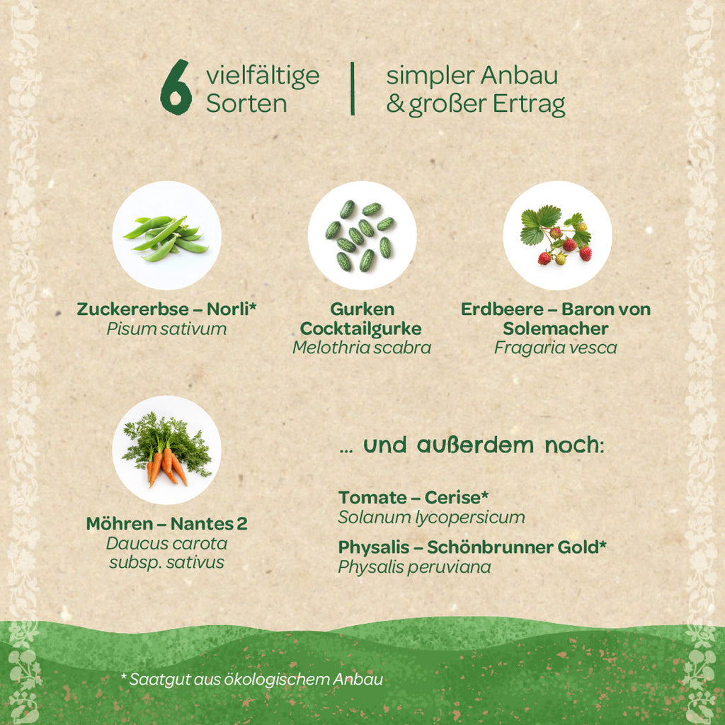 BIO-Saatgut-Set "Naschgarten" Inhalt & Sorten