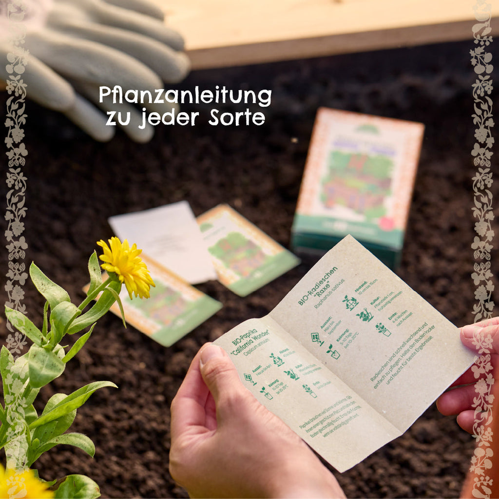 BIO-Saatgut-Set "Naschgarten" Pflanzanleitung