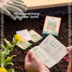 BIO-Saatgut-Set "Teekräuter" Pflanzanleitung