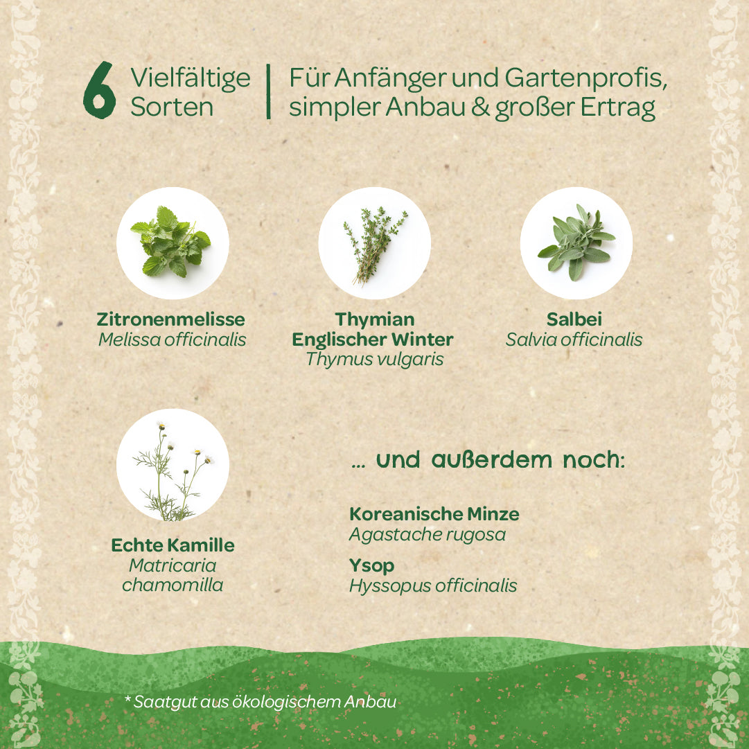BIO-Saatgut-Set "Teekräuter" Sorten
