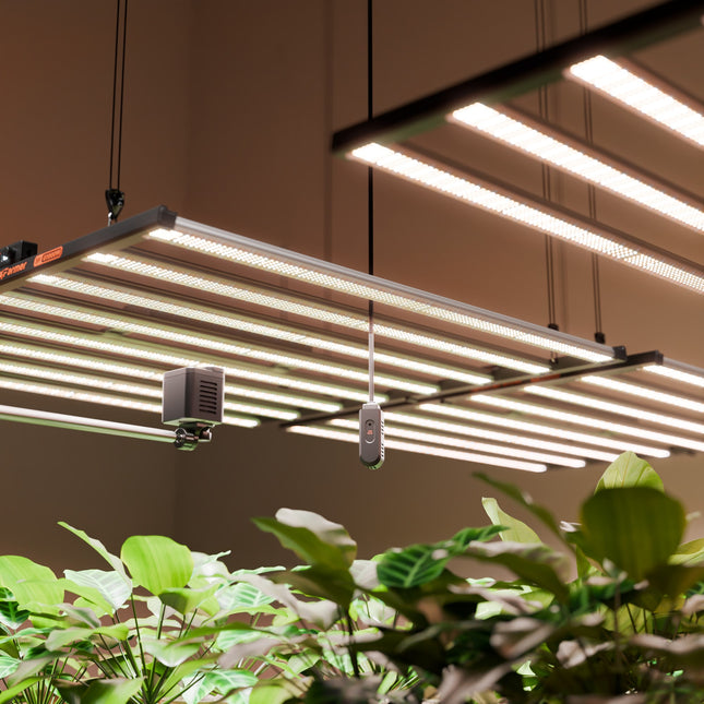 "Kommerzielle Indoor-Farm mit GGS SensorPro Kit für Ertragssteigerung"