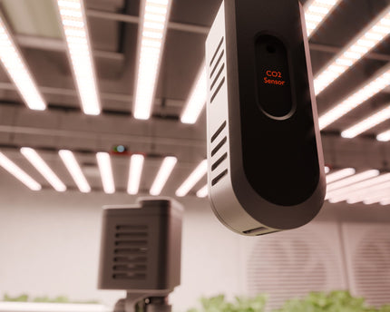 "Professioneller CO₂-Messgerät für optimierte Photosynthese im Grow-Zelt"