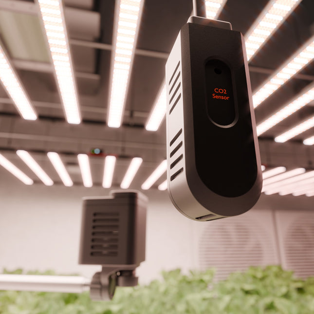 "Professioneller CO₂-Messgerät für optimierte Photosynthese im Grow-Zelt"