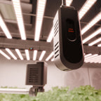 "Professioneller CO₂-Messgerät für optimierte Photosynthese im Grow-Zelt"