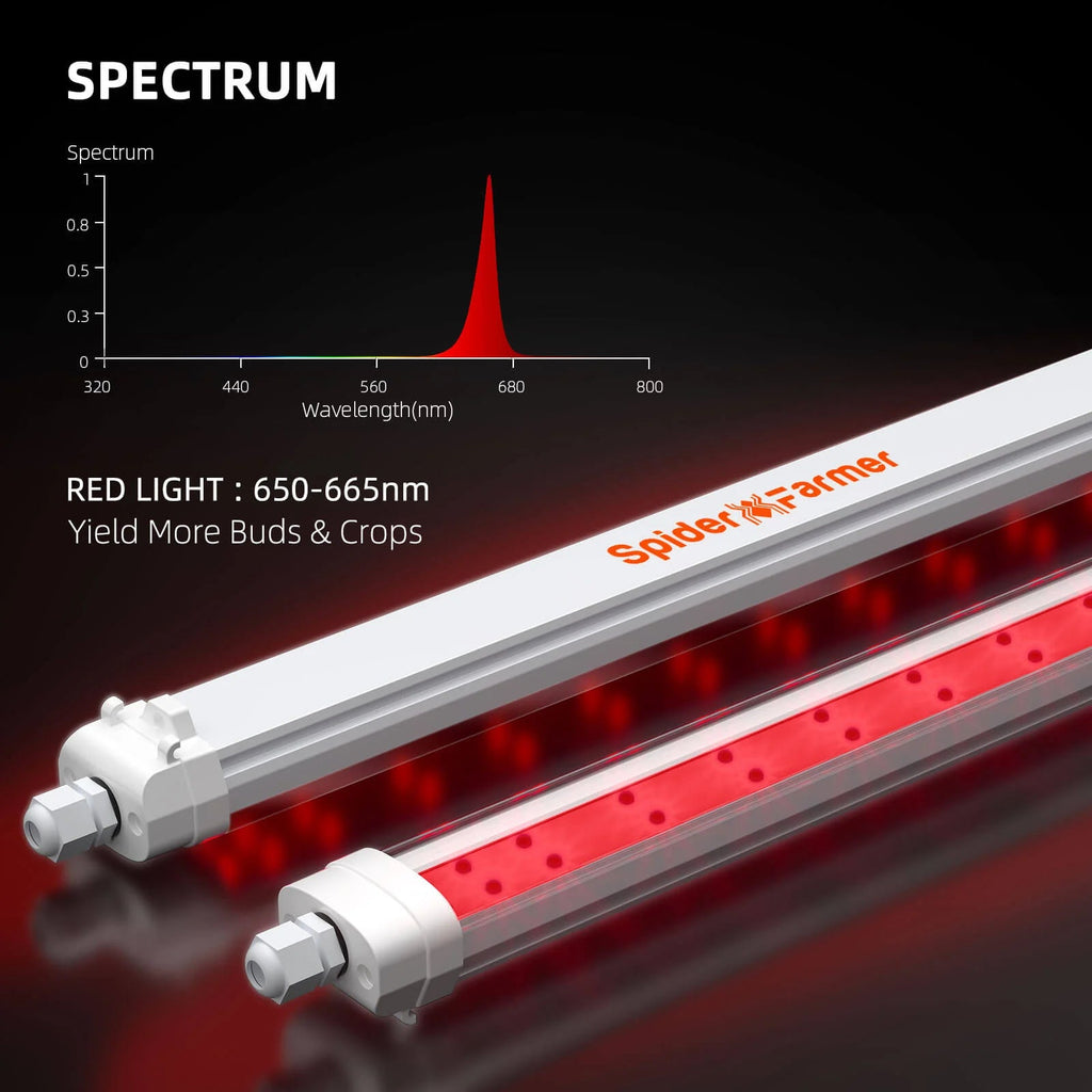 Spider Farmer GlowR40 Deep-Red Spektrum 650 bis 665 nm