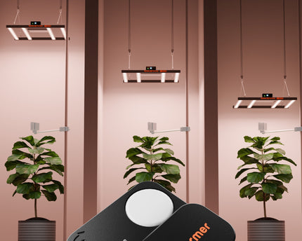 "Präzise Lichtplatzierung mit PPFD-Sensor für maximale Photosynthese"