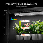 Spider Farmer LED Grow Light PPFD Spektrum Diagramm 220W Vollspektrum Pflanzenbeleuchtung