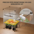 Spider Farmer SensorPro5 im aktuellen 2026er Design für das GGS-System