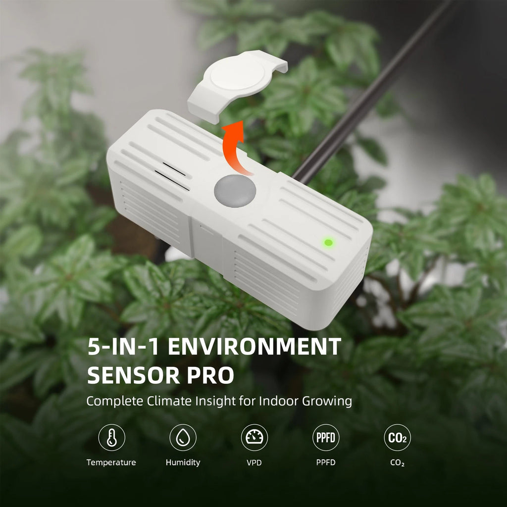 Spider Farmer SensorPro5 zur PPFD- und CO₂-Überwachung im Indoor-Garten
